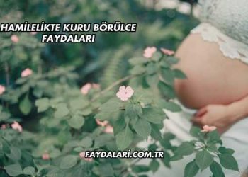 Hamilelikte Kuru Börülce Faydaları