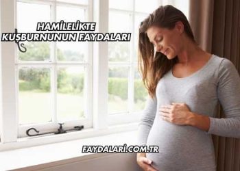 Hamilelikte Kuşburnunun Faydaları