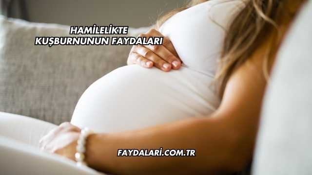Hamilelikte Kuşburnunun Faydaları