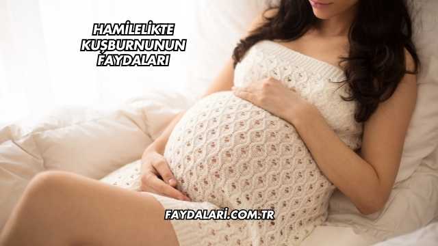 Hamilelikte Kuşburnunun Faydaları
