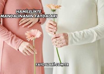 Hamilelikte Mandalinanın Faydaları