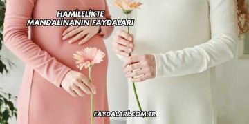 Hamilelikte Mandalinanın Faydaları