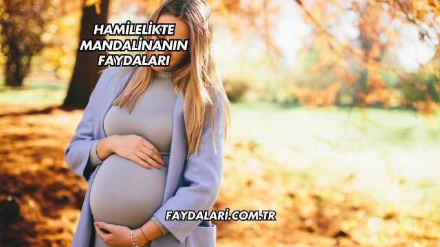 Hamilelikte Mandalinanın Faydaları