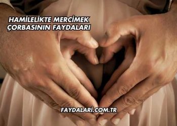 Hamilelikte Mercimek Çorbasının Faydaları