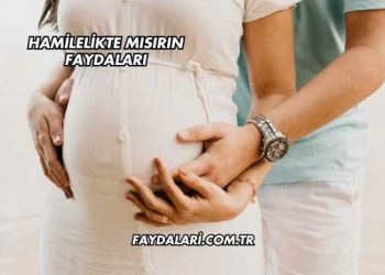 Hamilelikte Mısırın Faydaları