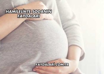 Hamilelikte Sodanın Faydaları