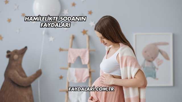Hamilelikte Sodanın Faydaları