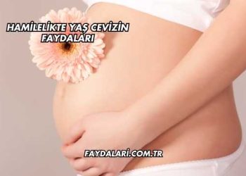 Hamilelikte Yaş Cevizin Faydaları