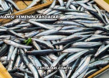 Hamsi Yemenin Faydaları