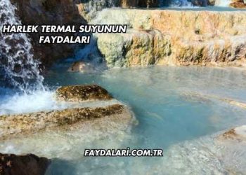 Harlek Termal Suyunun Faydaları