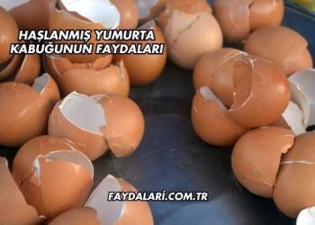 Haşlanmış Yumurta Kabuğunun Faydaları