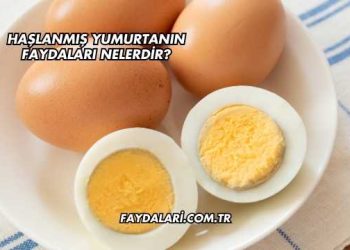 Haşlanmış Yumurtanın Faydaları Nelerdir?