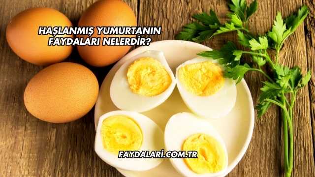 Haşlanmış Yumurtanın Faydaları Nelerdir?