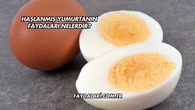 Haşlanmış Yumurtanın Faydaları Nelerdir?