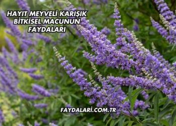 Hayıt Meyveli Karışık Bitkisel Macunun Faydaları