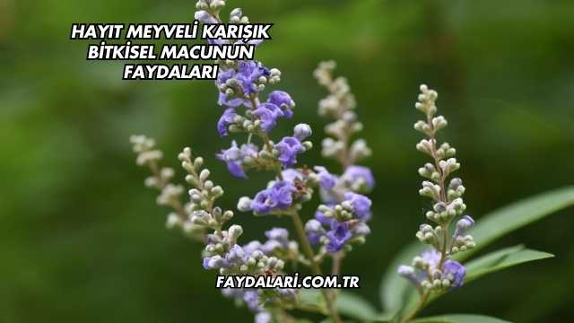 Hayıt Meyveli Karışık Bitkisel Macunun Faydaları