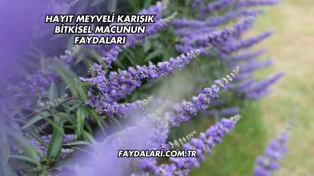 Hayıt Meyveli Karışık Bitkisel Macunun Faydaları