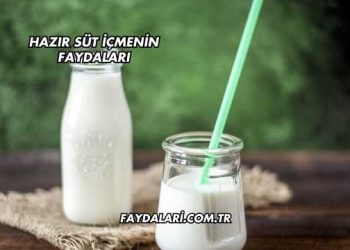 Hazır Süt İçmenin Faydaları