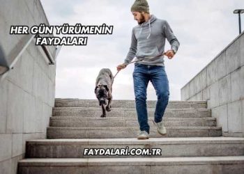 Her Gün Yürümenin Faydaları