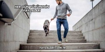 Her Gün Yürümenin Faydaları