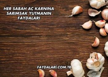 Her Sabah Aç Karnına Sarımsak Yutmanın Faydaları