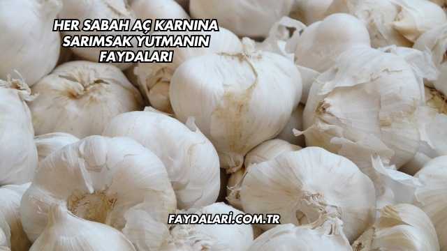 Her Sabah Aç Karnına Sarımsak Yutmanın Faydaları