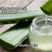 Herbalife Aloe Vera Jel Faydaları
