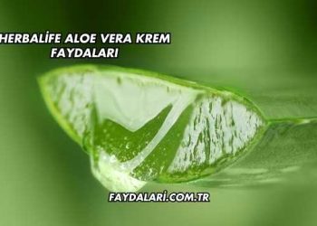 Herbalife Aloe Vera Krem Faydaları