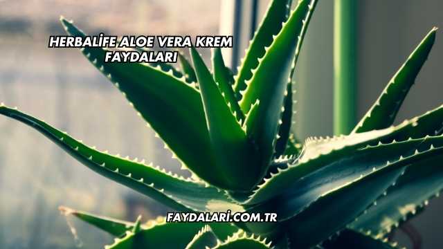 Herbalife Aloe Vera Krem Faydaları