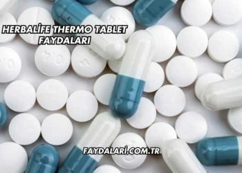 Herbalife Thermo Tablet Faydaları