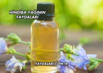 Hindiba Yağının Faydaları