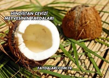 Hindistan Cevizi Meyvesinin Faydaları