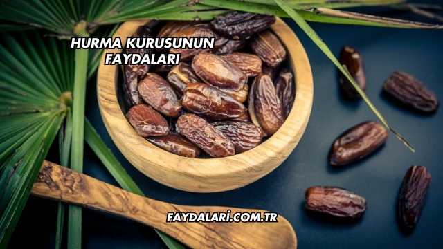 Hurma Kurusunun Faydaları