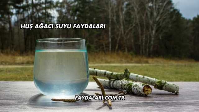 Huş Ağacı Suyu Faydaları