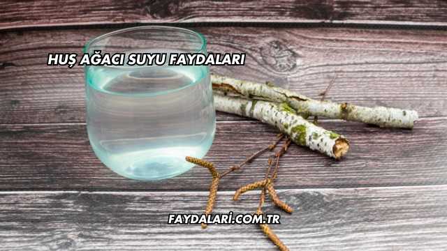 Huş Ağacı Suyu Faydaları