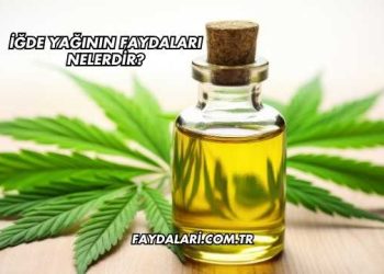 İğde Yağının Faydaları Nelerdir?