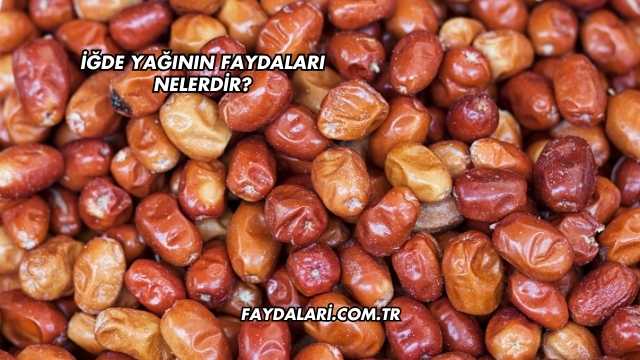 İğde Yağının Faydaları Nelerdir?