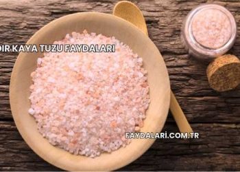 Iğdır Kaya Tuzu Faydaları