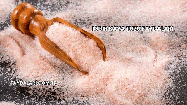 Iğdır Kaya Tuzu Faydaları