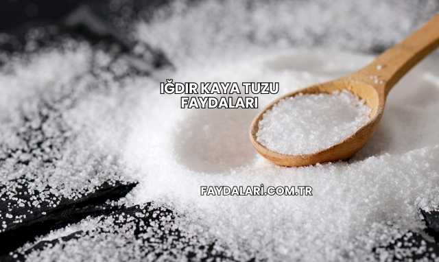 Iğdır Kaya Tuzu Faydaları