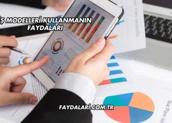 İş Modelleri Kullanmanın Faydaları