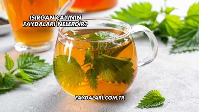 Isırgan Çayının Faydaları Nelerdir?