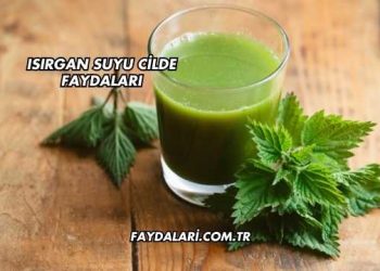Isırgan Suyu Cilde Faydaları