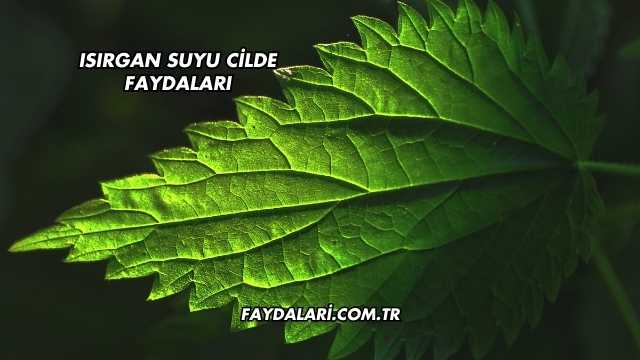 Isırgan Suyu Cilde Faydaları