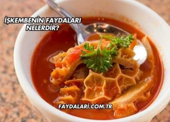 İşkembenin Faydaları Nelerdir?