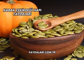 Kabak Çekirdeği Hapı Faydaları