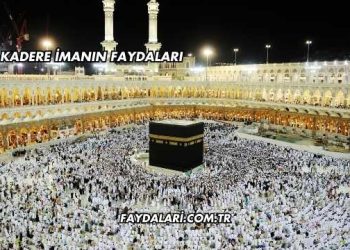 Kadere İmanın Faydaları