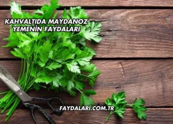 Kahvaltıda Maydanoz Yemenin Faydaları