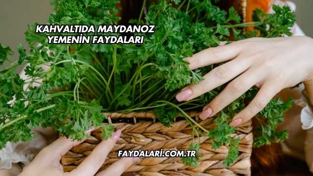 Kahvaltıda Maydanoz Yemenin Faydaları
