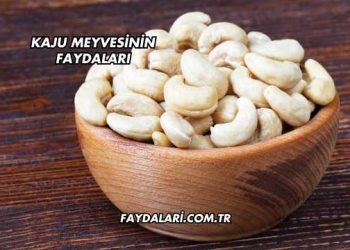 Kaju Meyvesinin Faydaları
